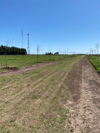 Terreno en Alvarez