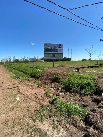 Terreno en Alvarez