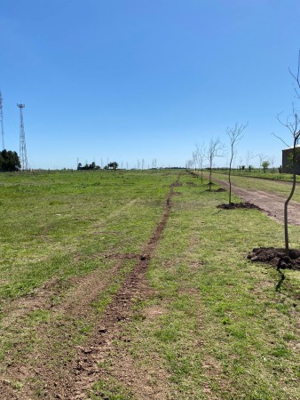 Terreno en Alvarez