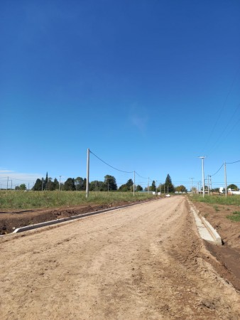 Terreno en Alvarez