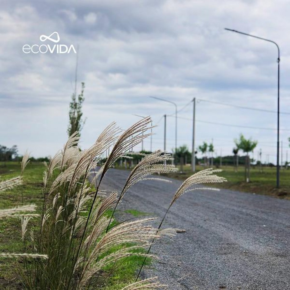 Terreno Ecovida Villa Amelia 300 m2