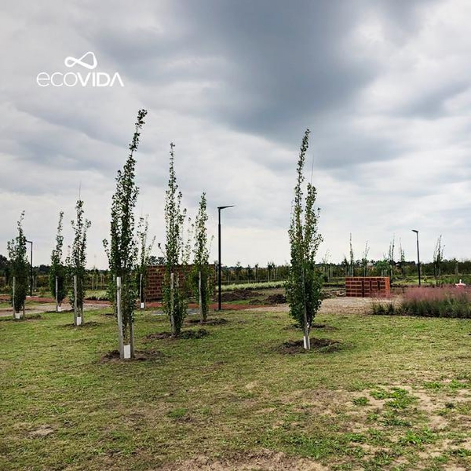 Terreno Ecovida Villa Amelia 300 m2