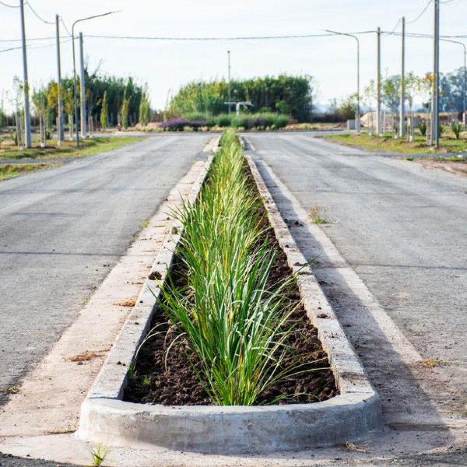 Terreno Ecovida Villa Amelia 300 m2