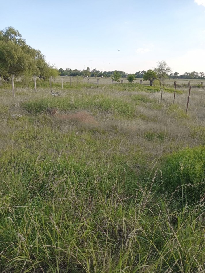 Terreno de 1100 m2 Barrio Los PInos Alvarez