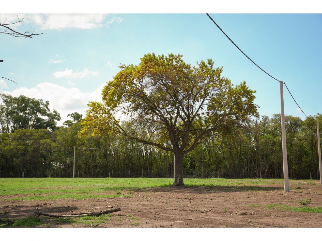 Terreno 300 m2 Barrio Las Tipas II Alvarez