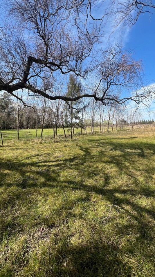 Venta Terreno de 1358 m2 Los Muchachos Piñero