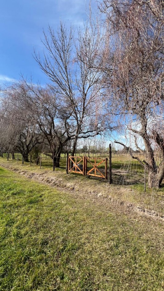 Venta Terreno de 1358 m2 Los Muchachos Piñero