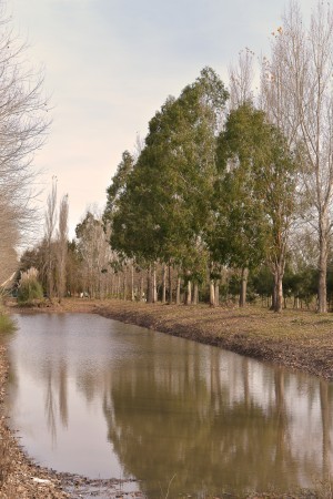 Terreno Pinares del Sur